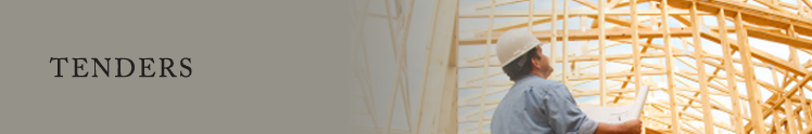 Serianni Construction - Tenders